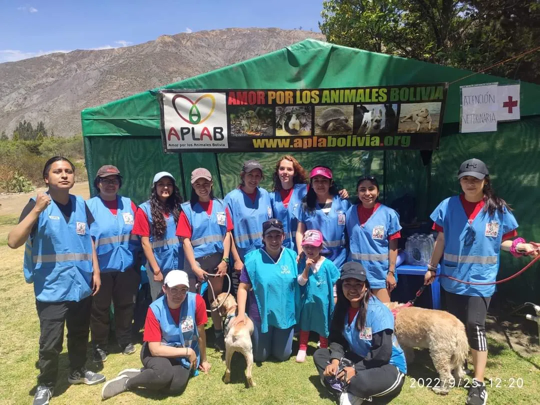 Voluntariado 11