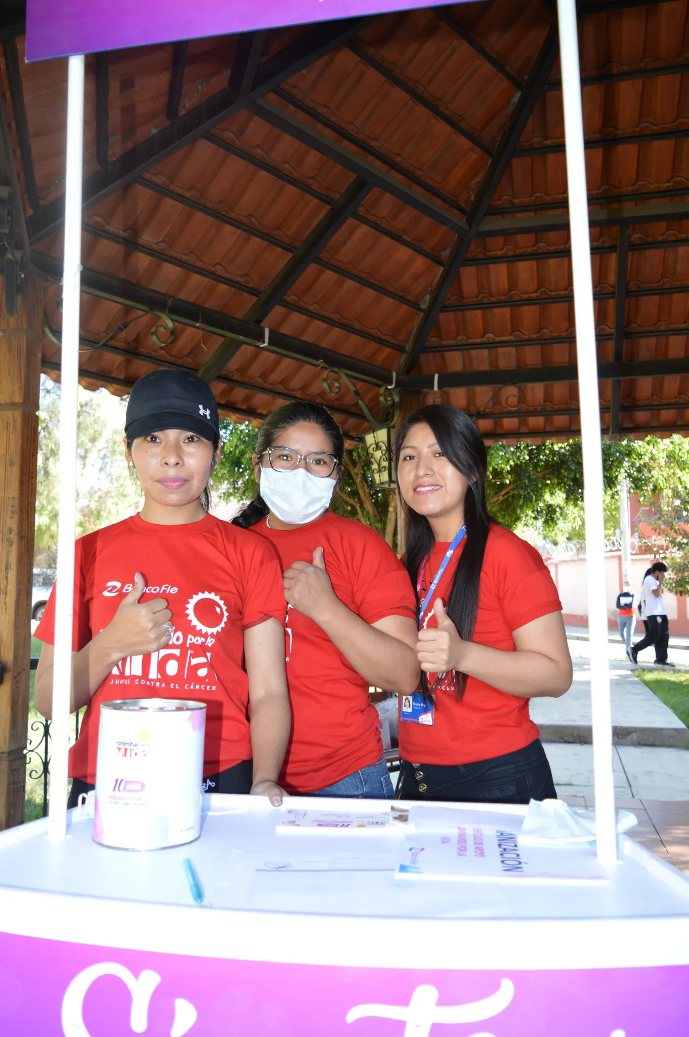 Voluntariado 8